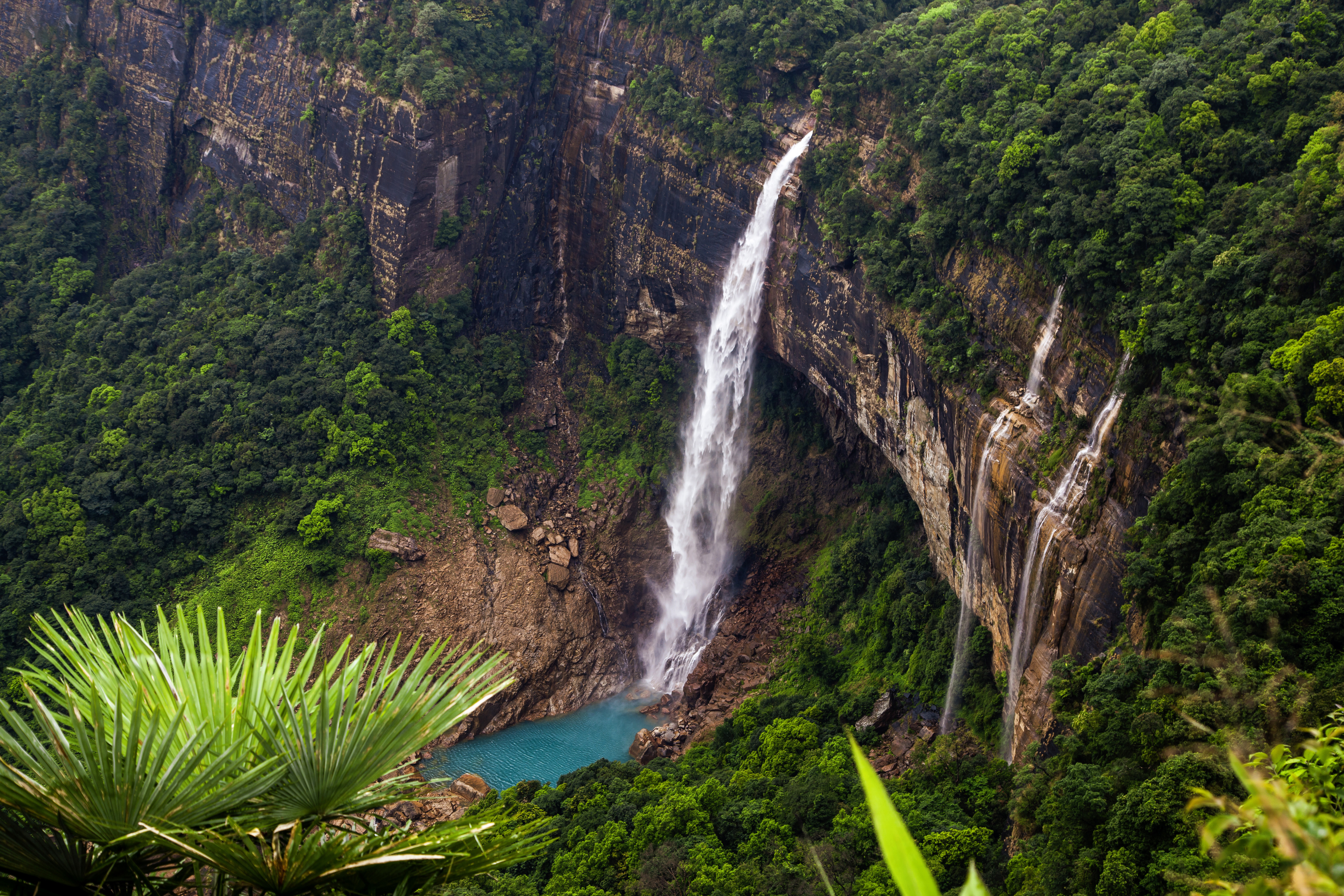 High-Quality Photos and Videos: